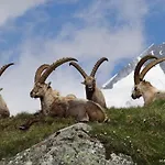 Haus Marienheim Heiligenblut am Großglockner
