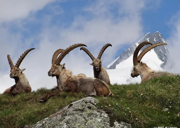 Haus Marienheim Heiligenblut am Großglockner